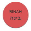 binahnew